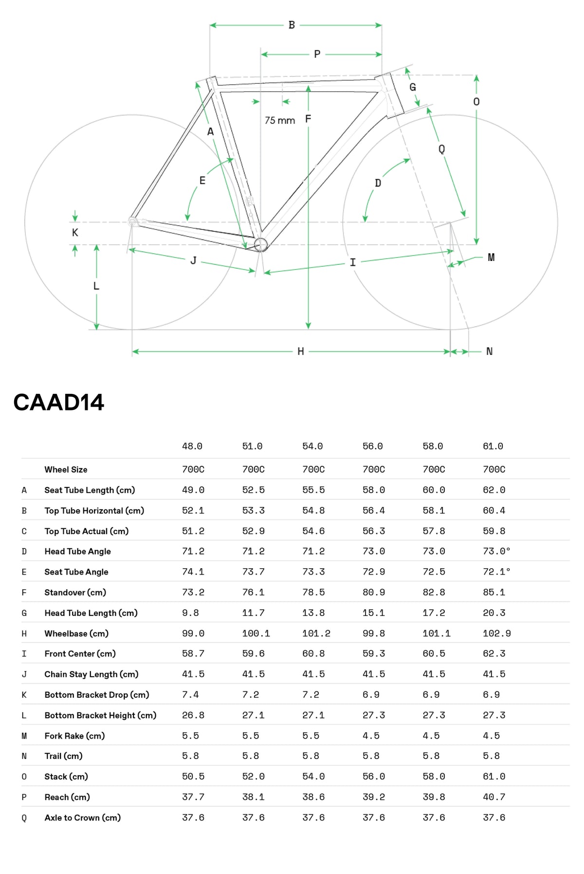 Cannondale CAAD14 1 2026 Gris - Geometría