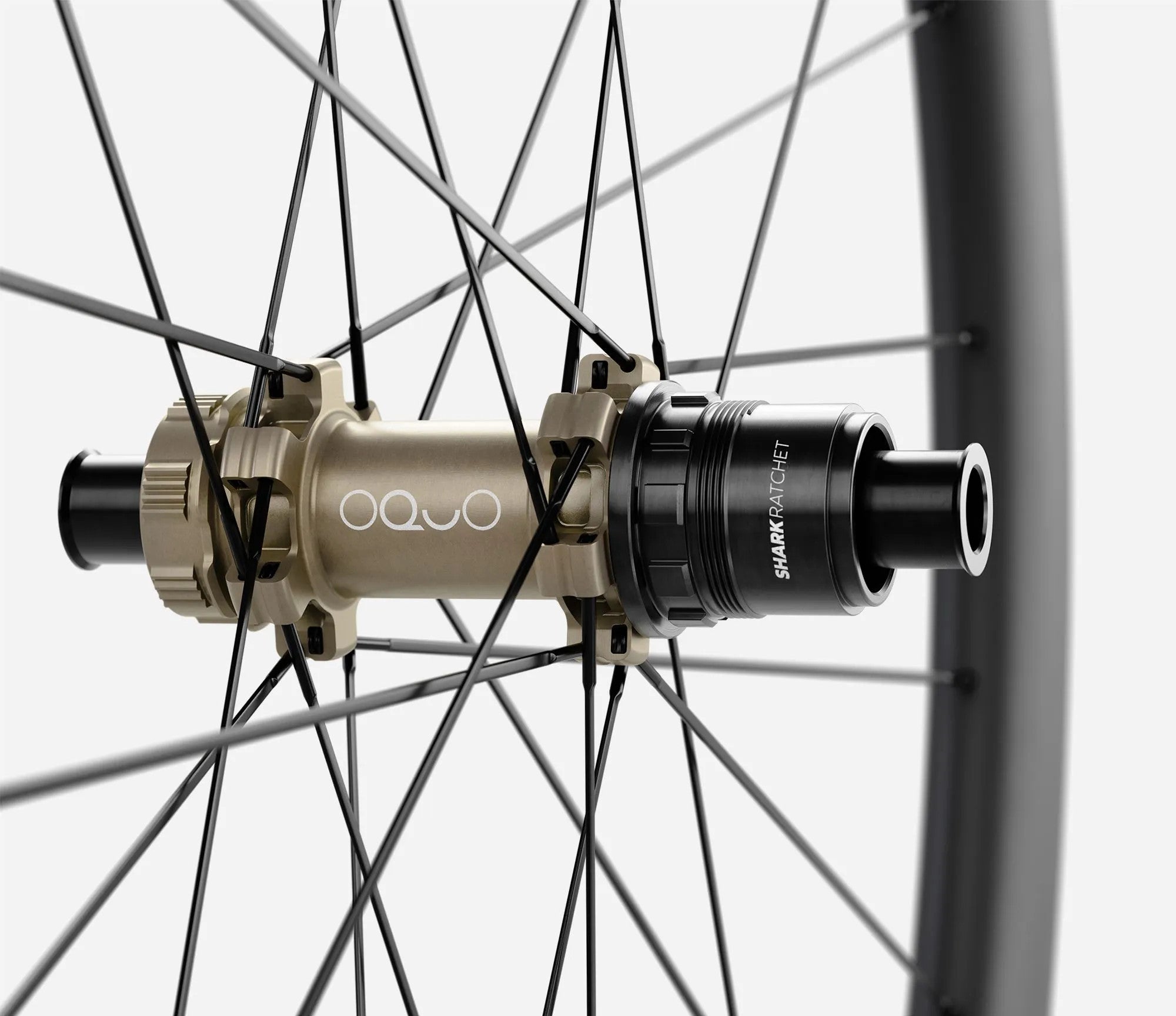front-04-oquo-rp35ltd-xdr