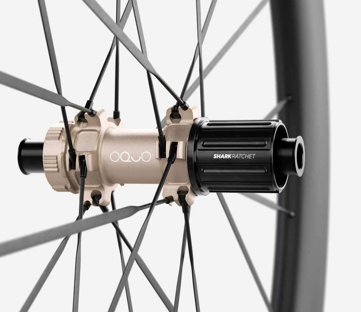O1950085