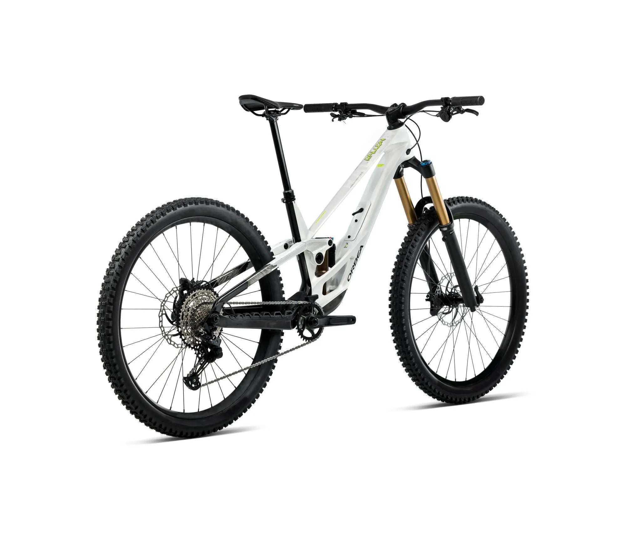 T258TTCC-M6-BACK-RALLON_EN_10